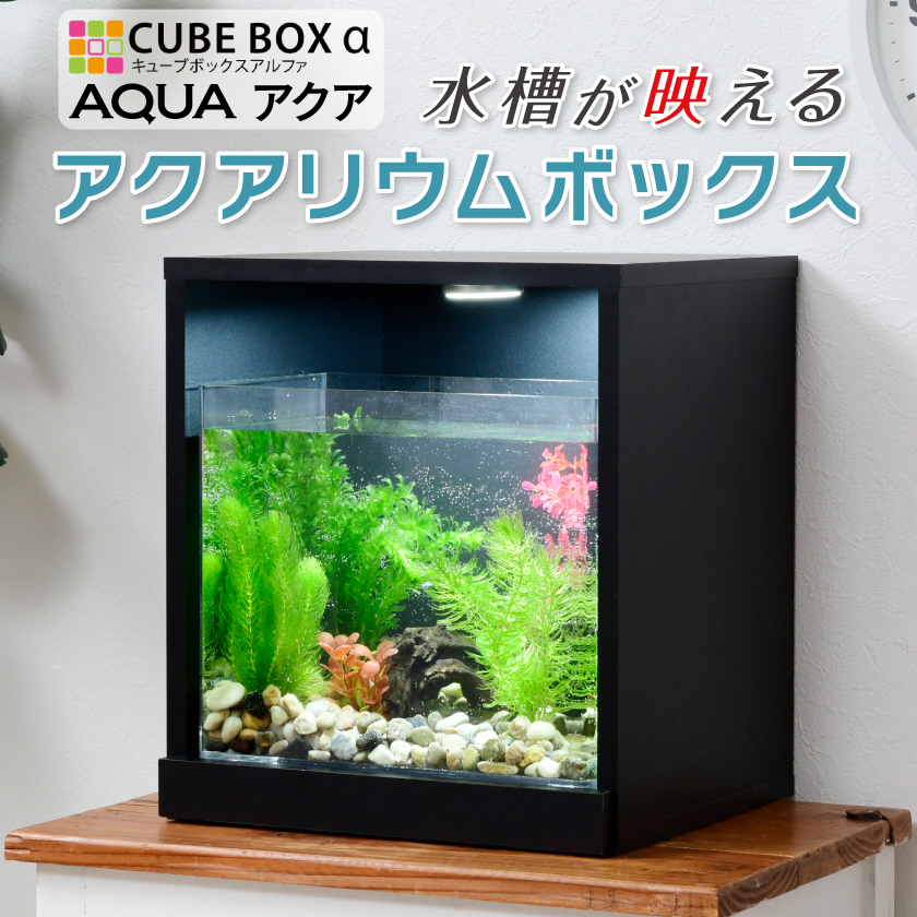 LEDライト レイアウト 水槽セット 人口水草 初心者セット - 魚用品/水草