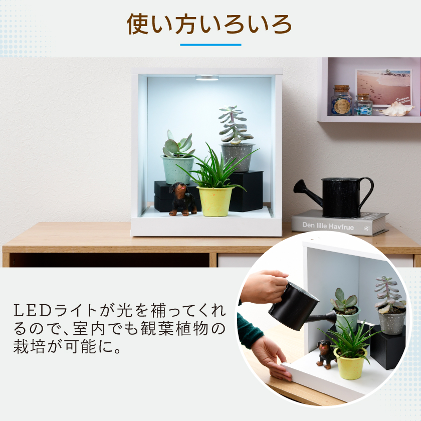 水草が枯れない LED付き キューブボックスα アクア 本体 単品 