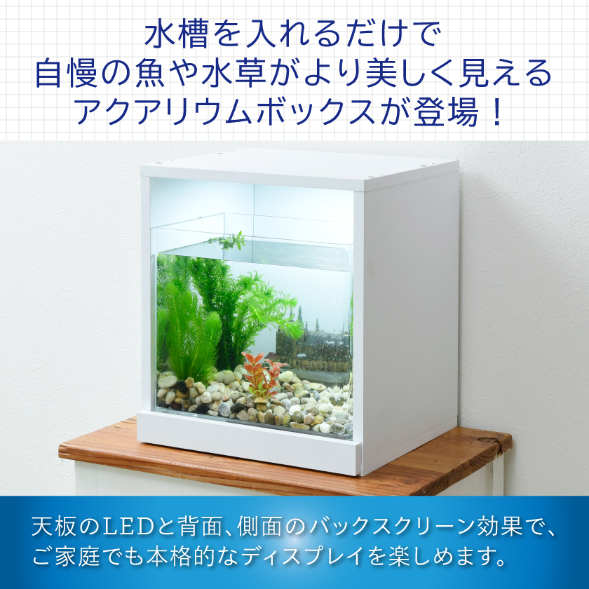 増設用 お部屋に小さな水族館 キューブボックスα アクア LED付き 水槽セット アクアリウム アクリル増設用 水槽 おしゃれ メダカ水槽 室内  レイアウト 30cm