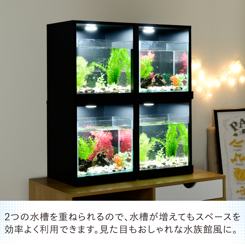 お部屋に小さな水族館 キューブボックスα アクア LED付き 水槽セット