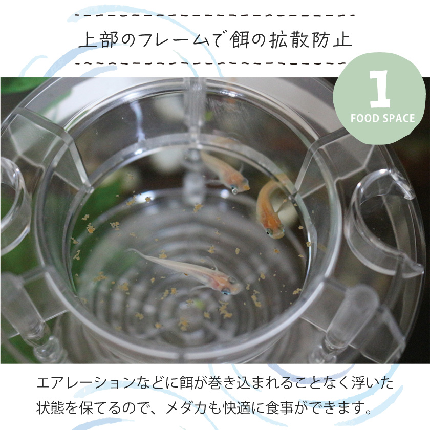 \エサの拡散を防ぎ、食べ残し、水汚れ防止!/ メダカ食堂 めだか エサ 食べ残し 容器 金魚 餌 受け皿 浮上性 沈下性 水の汚れ 拡散防止 水槽 アクアリウム 関連画像5