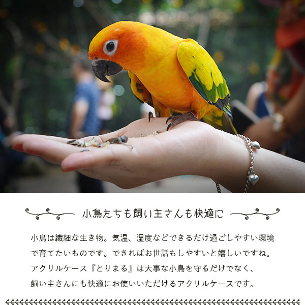 とりまる Lサイズ 専用遮光カバー付き 鳥かご カバー おやすみカバー おしゃれ 遮光 セキセイインコ オカメインコ 文鳥 バードケージ アクリル  透明 ケース