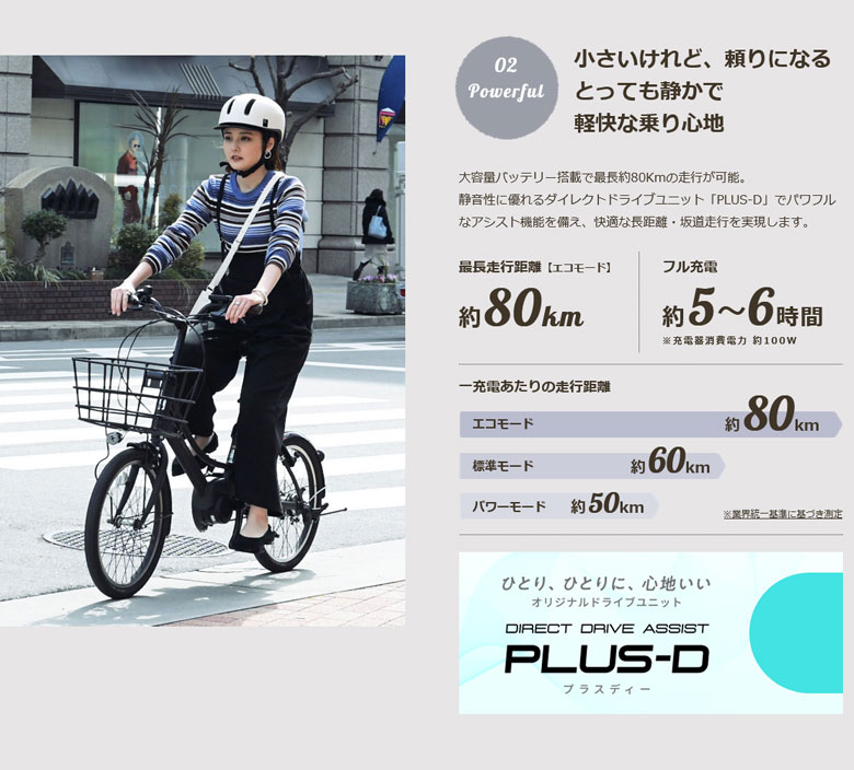 ENERSYS asahi あさひ compact エナシスコンパクト BAA-Q 20インチ 3段