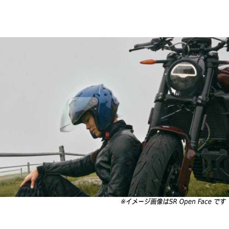 scorpion_exo_230.jpg