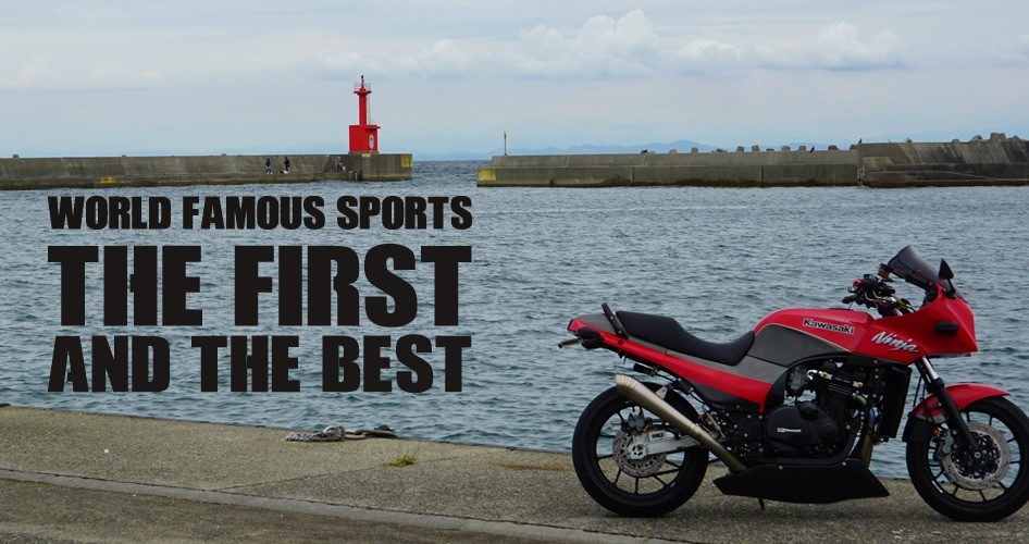 GPZ900R GPZ オリジナルデザイン ステッカー Ninja カッティング