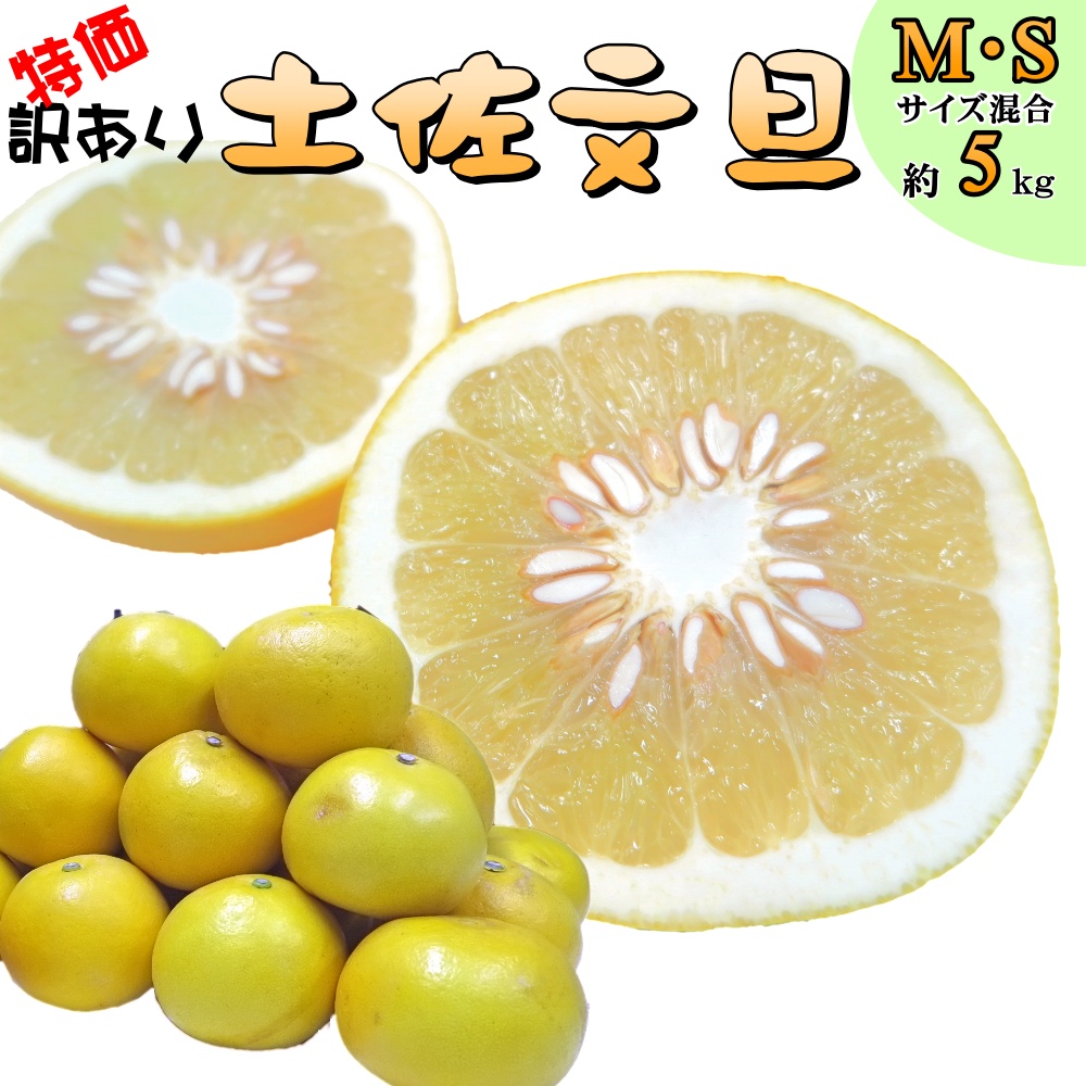 訳あり 家庭用】土佐文旦 10kg（M/S）規格外 高知県産｜1月下旬〜順次