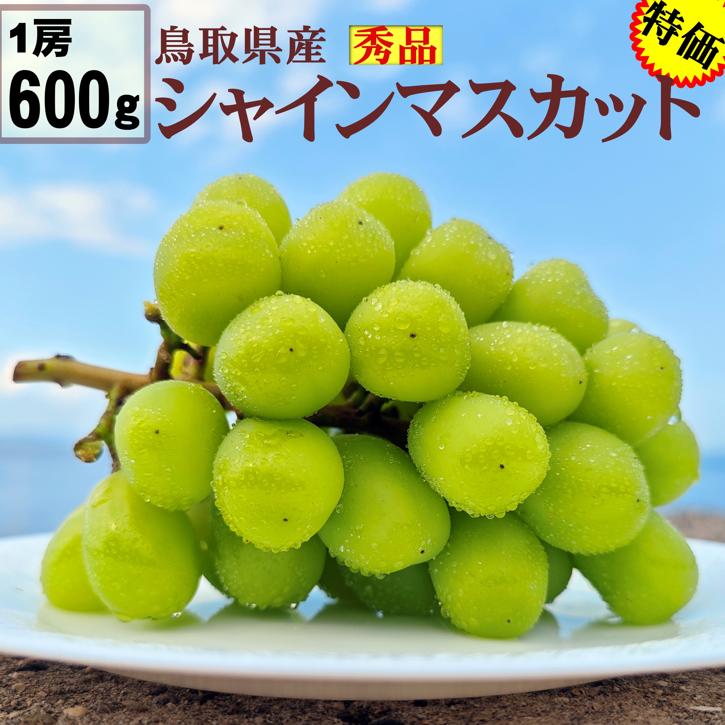 シャインマスカット 1.2kg 2房 ~ 3房 サイズおまかせ 冷蔵便