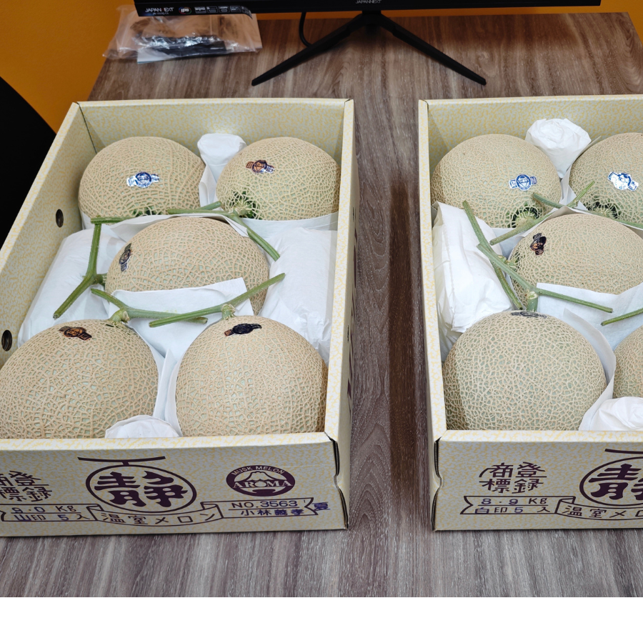 山等級】静岡県産 アローマメロン 1玉 約1.8kg 化粧箱入り 贈答