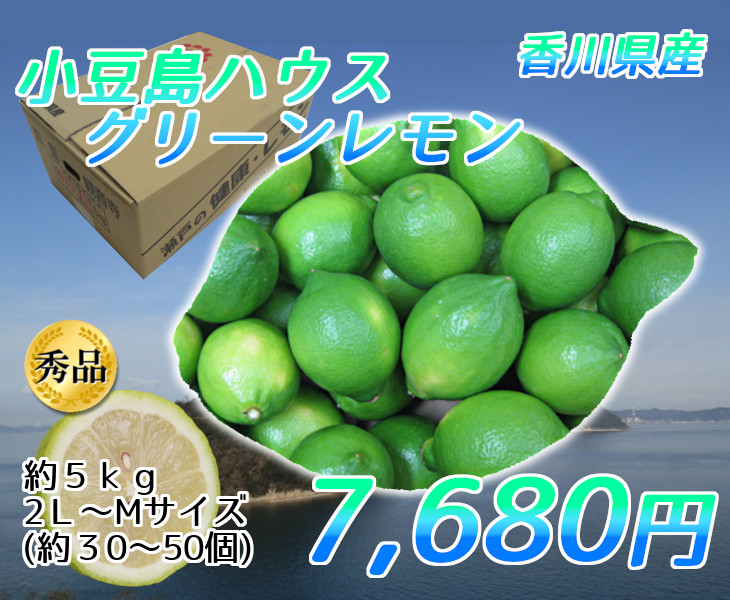 小豆島ハウスグリーンレモン 秀品約５ｋｇ ２Ｌ-Ｍ（約３０-５０個