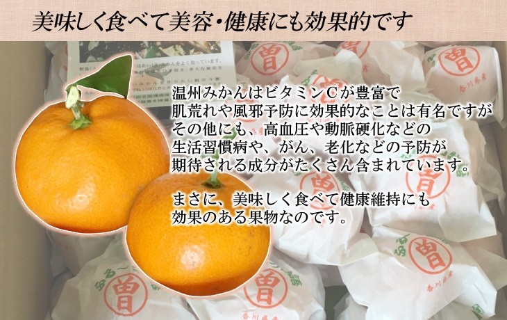 越冬完熟袋掛けみかん（ふるーつ物語） 約3kg（約30-50個 