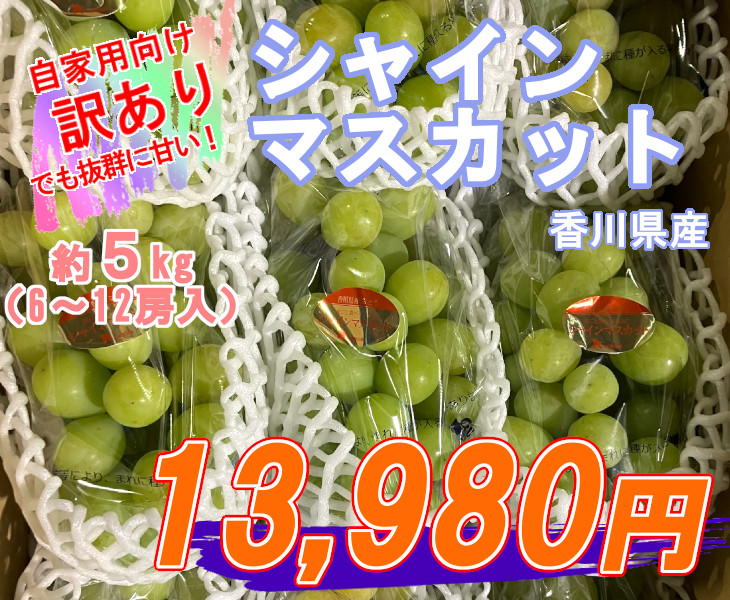 訳ありご家庭用シャインマスカット 約５ｋｇ（６‐１２房入り） 香川県