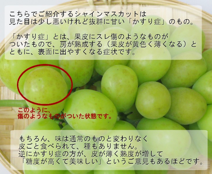 訳あり シャインマスカット 5kg 6房-12房 香川県産 家庭用 クール便 送料無料| 葡萄 ぶどう ブドウ シャイン マスカット フルーツ 敬老の日