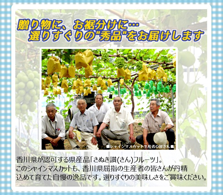香川県産 シャインマスカット 秀品 約600g...の詳細画像5