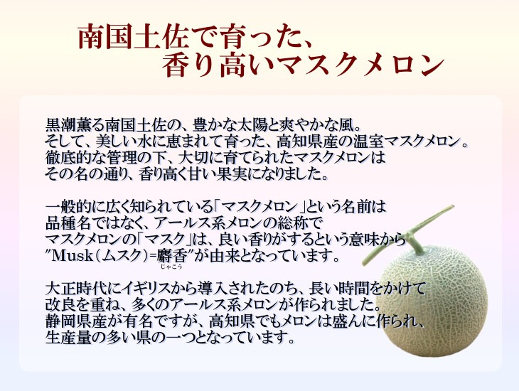 高知マスクメロン 秀品2玉入り 約3kg : 美味旬果 - 通販
