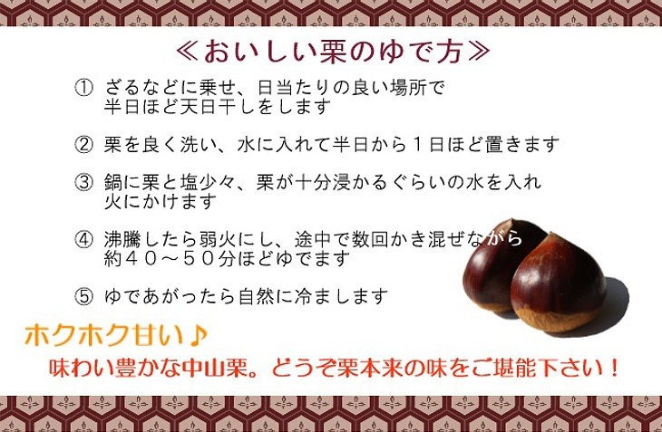 銀寄 中山栗 3L 約3kg 愛媛県産 生栗 大粒 国産 クール便 送料無料 皮付き