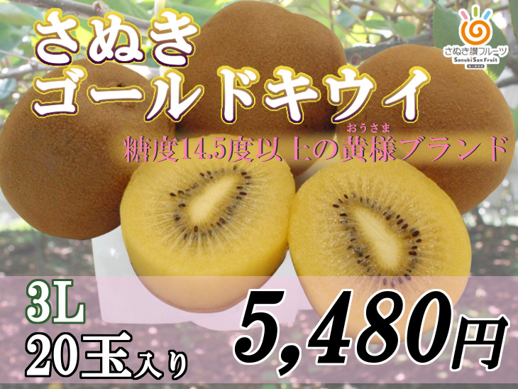 さぬきゴールドキウイ（黄様） ３Ｌ ２０玉入り 香川県産