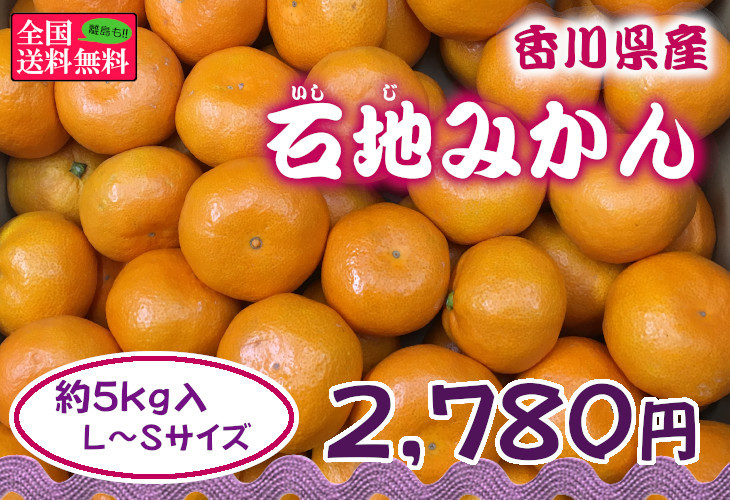 石地（いしじ）みかんL−Sサイズ約5kg入り 香川県産 : 美味