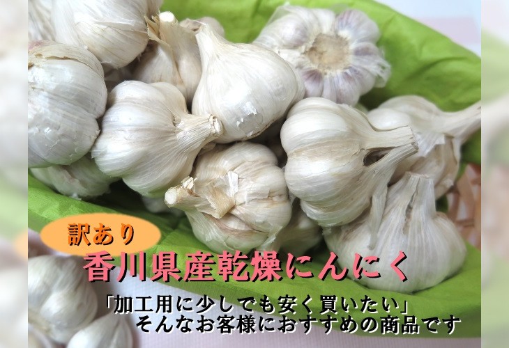 香川県産乾燥ニンニク　Lサイズ　10キロ 訳あり 乾燥にんにく A品 約2kg 香川県産 国産 にんにく 保存食