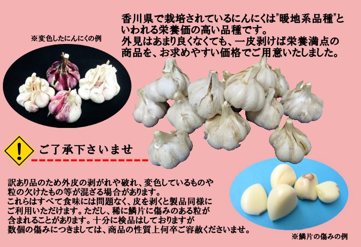 10kg・2Lサイズ以上｜農家直送・風干しにんにく（半乾燥・土付き