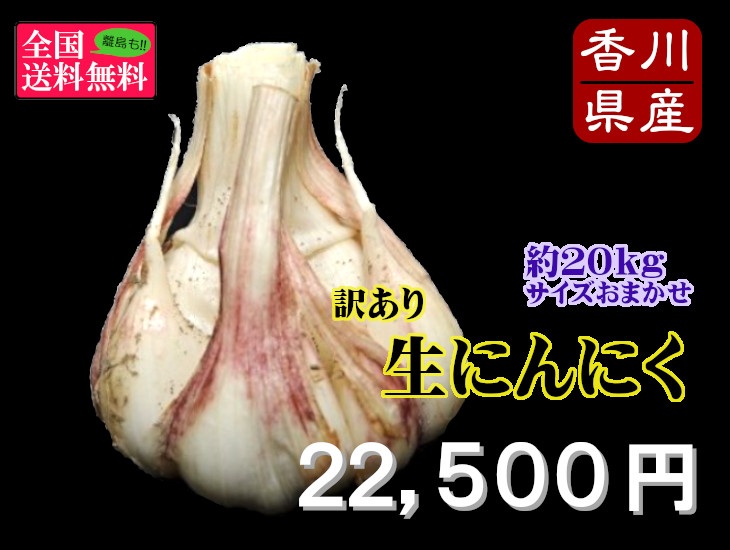 リバーシブルタイプ （５月上旬以降発送）生にんにく 約２０ｋｇ 香川