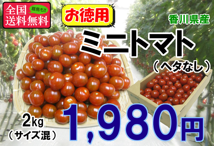 お徳用ヘタなしミニトマト 約２ｋｇ 香川県産 : v-000301 : 美味旬果 