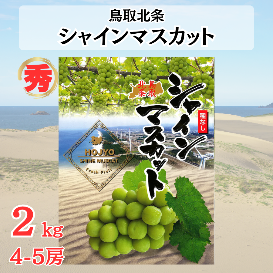 シャインマスカット ぶどう 鳥取県産 約2kg 4房から5房 化粧箱 秀品 種