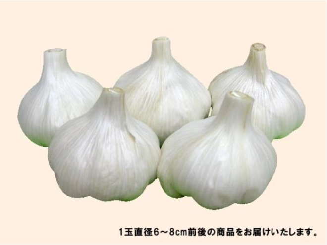 香川県産 乾燥にんにく 秀優品 約10kg（常温便）国産 : 美味旬果