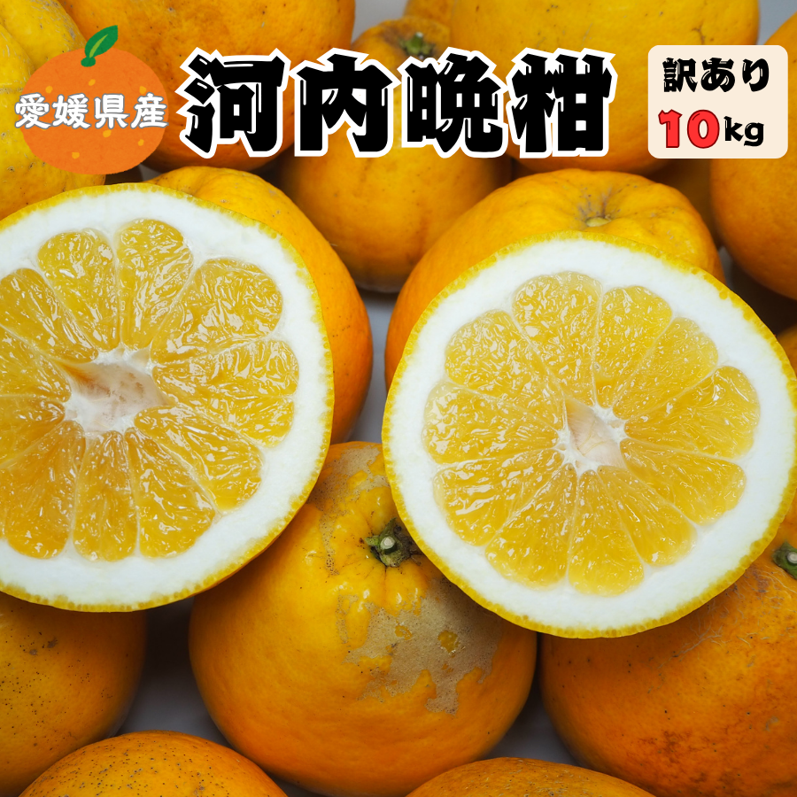 河内晩柑 5kg 愛媛県産 訳あり 家庭用 美生柑 宇和ゴールド ジューシー