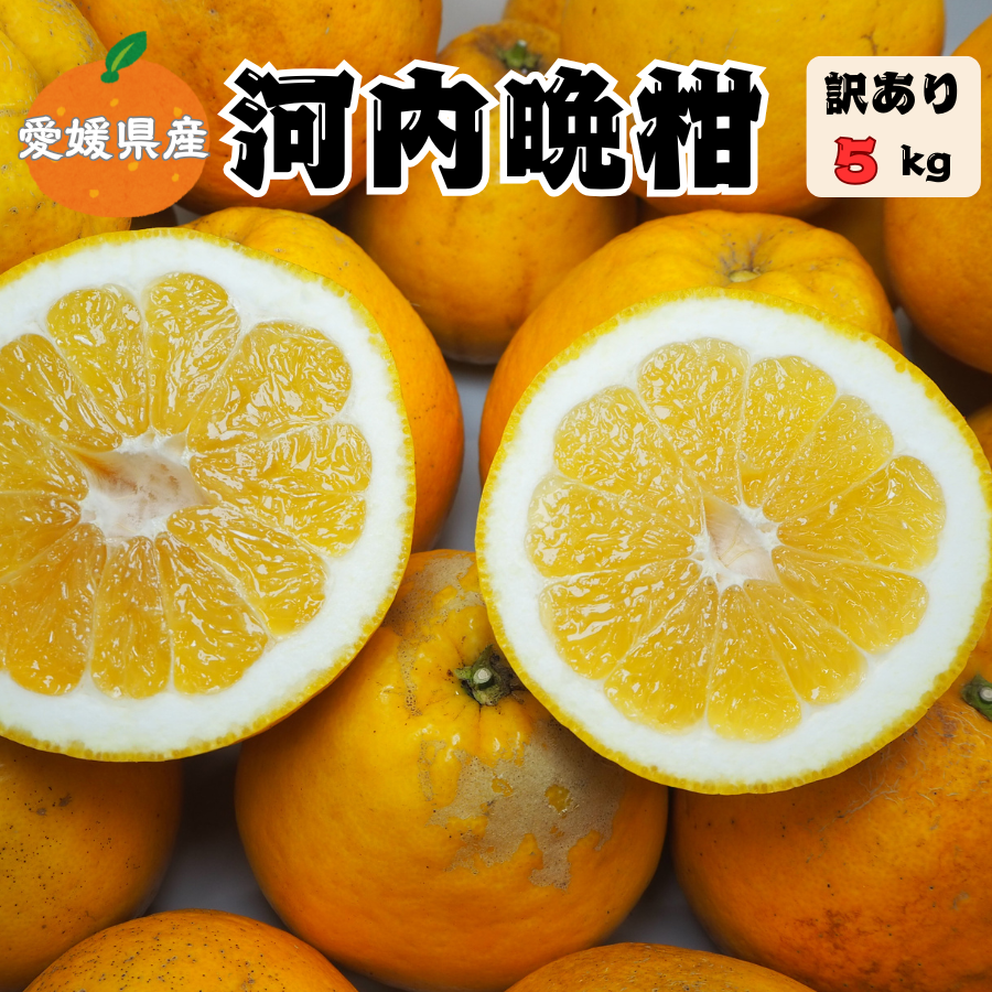 河内晩柑 5kg 愛媛県産 訳あり 家庭用 美生柑 宇和ゴールド ジューシー