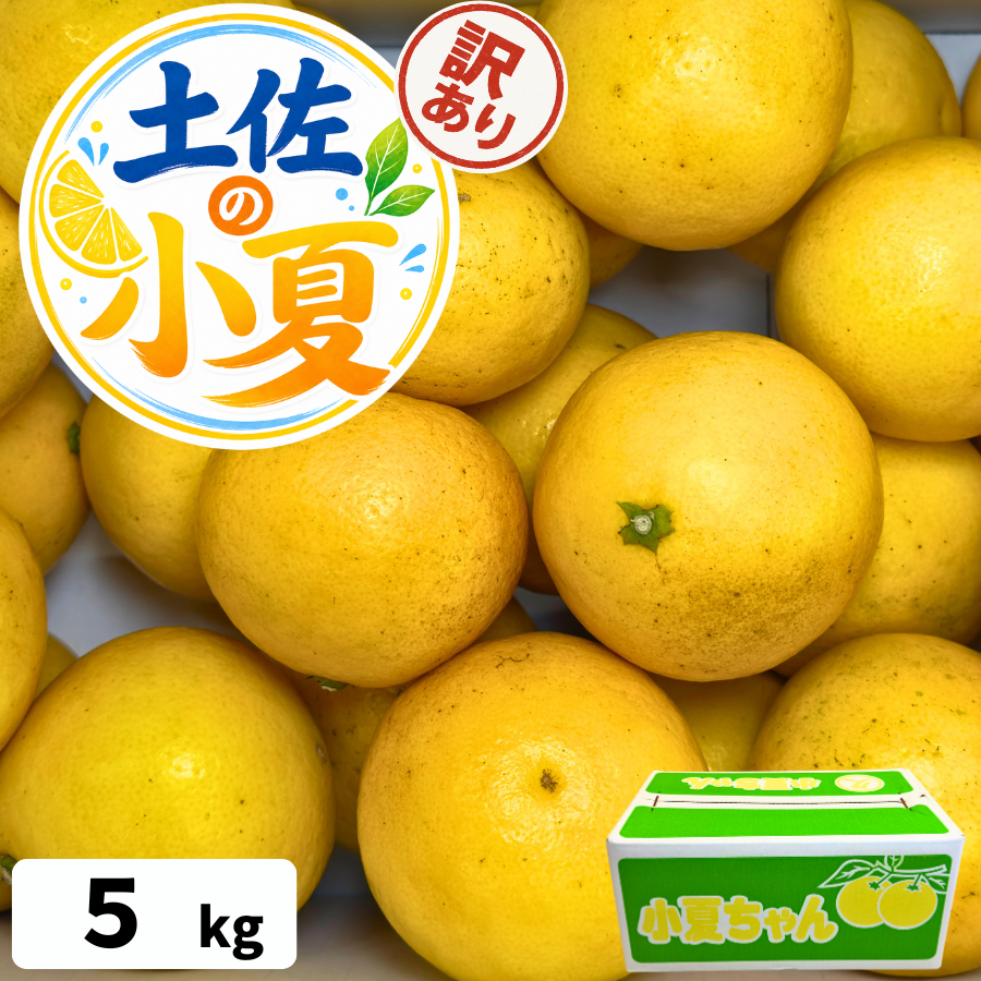 訳あり 乾燥にんにく A品 約2kg 香川県産 国産 にんにく 保存食 家庭用