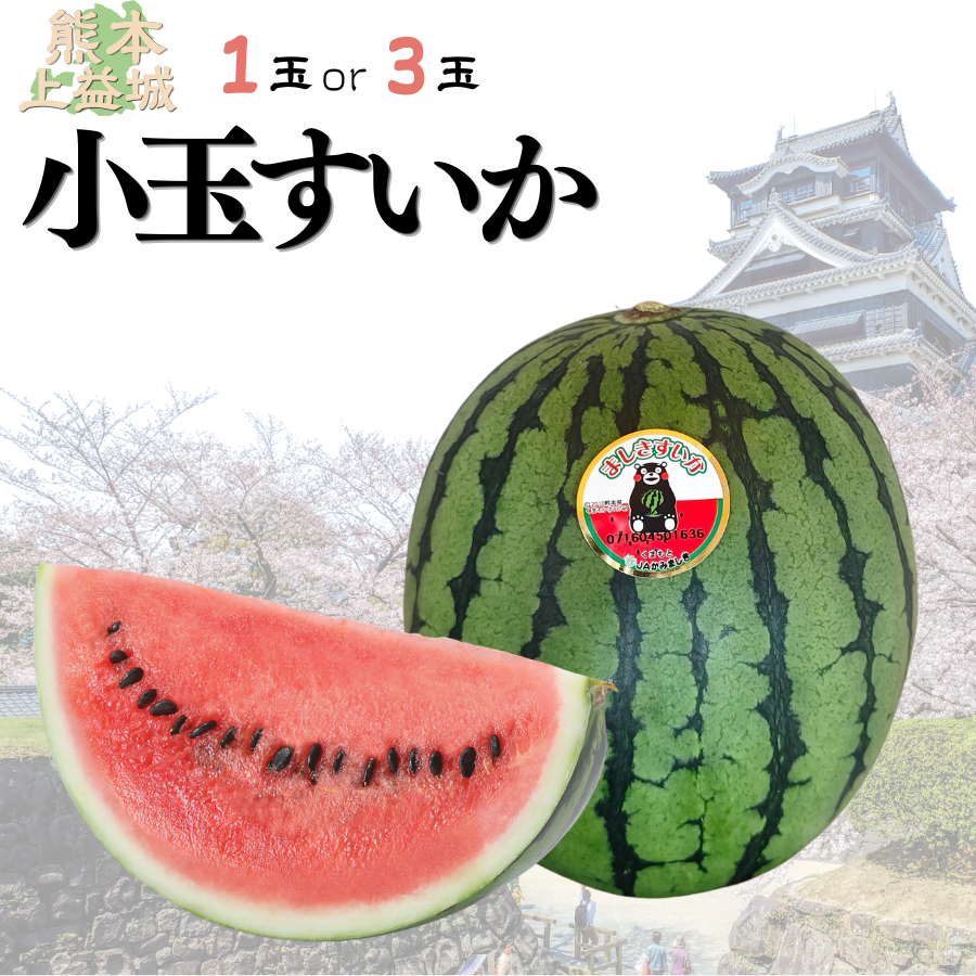 小玉すいか 熊本県産 ひとりじめ 3L 3玉 家庭用 : 美味旬果 - 通販
