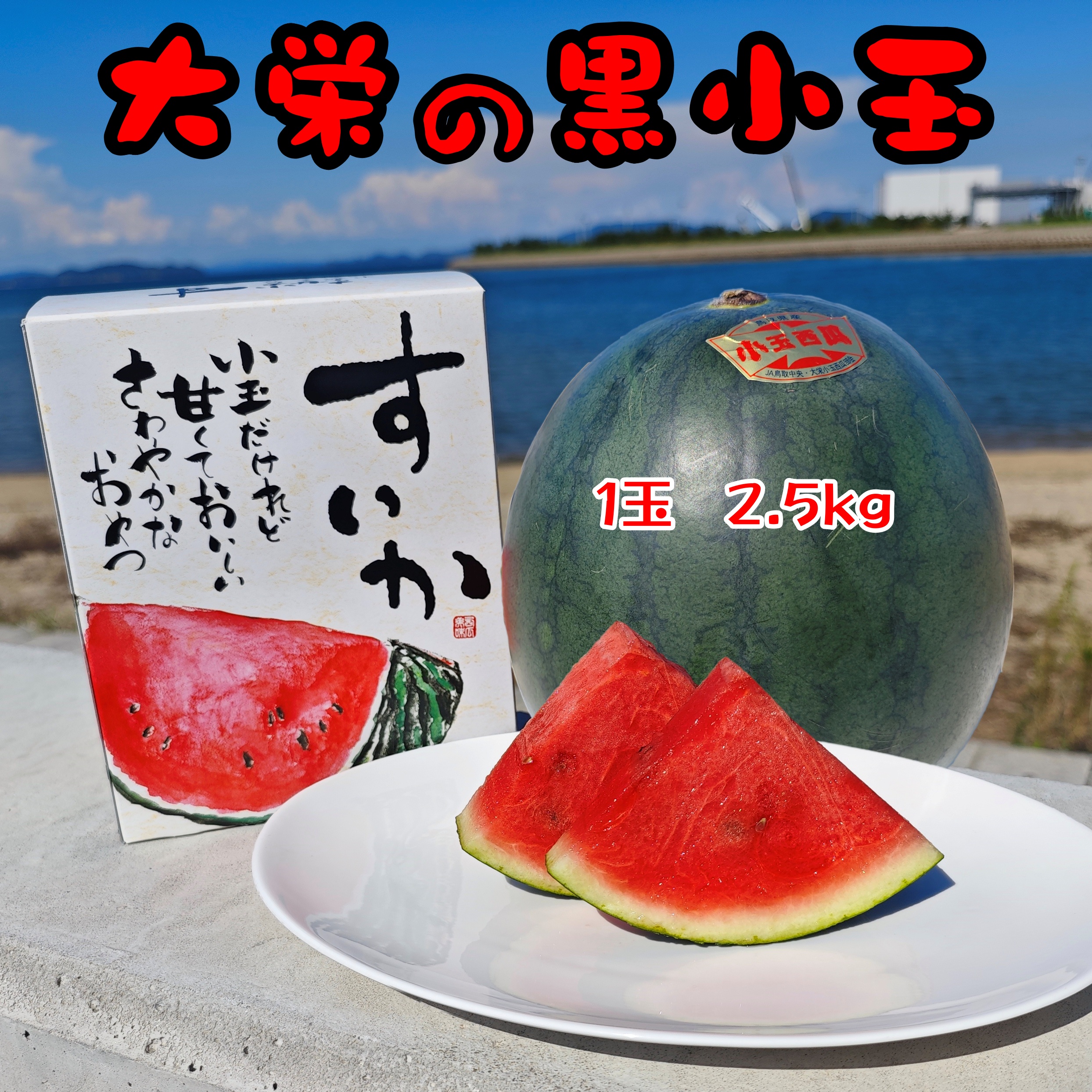 小玉すいか」の人気商品一覧 | 安い商品を通販サイトから探す