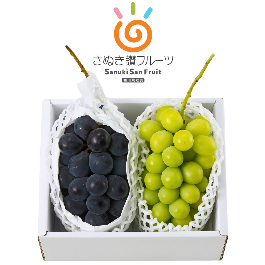 Yahoo! Yahoo!ショッピング(ヤフー ショッピング)【お中元 夏ギフト】香川県産 シャインマスカット＆ピオーネセット（約1.1kg）さぬき讃フルーツ 冷蔵便 ギフト包装