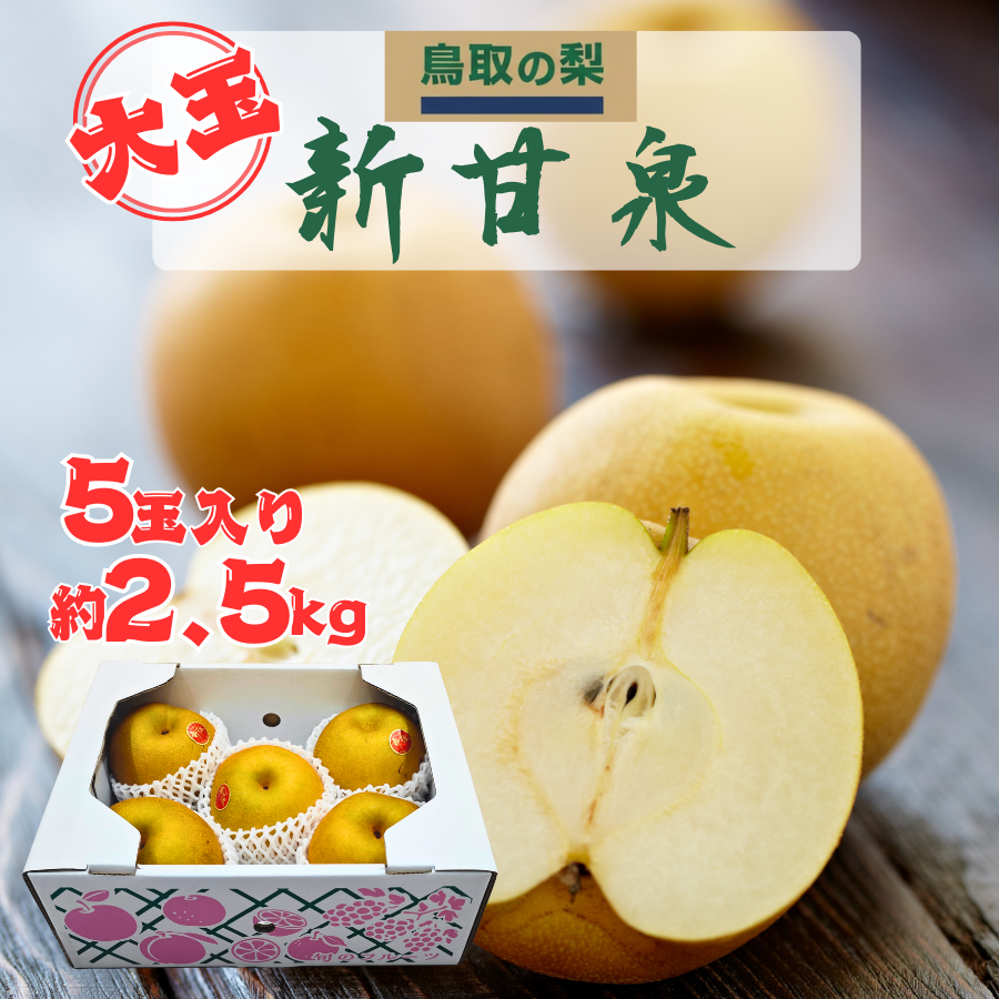 VÐ 挧Y 2.5kg 5 񂩂񂹂 x13-15x ԗ H IWii 