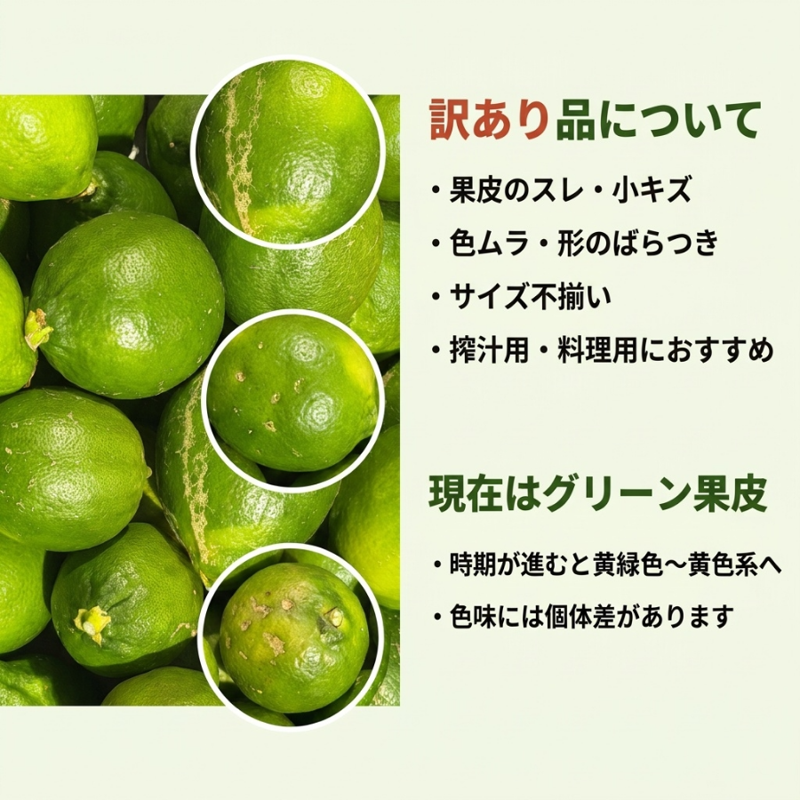訳あり レモン 様柑橘 璃の香 10kg 香川県産 国産カンキツ グリーン