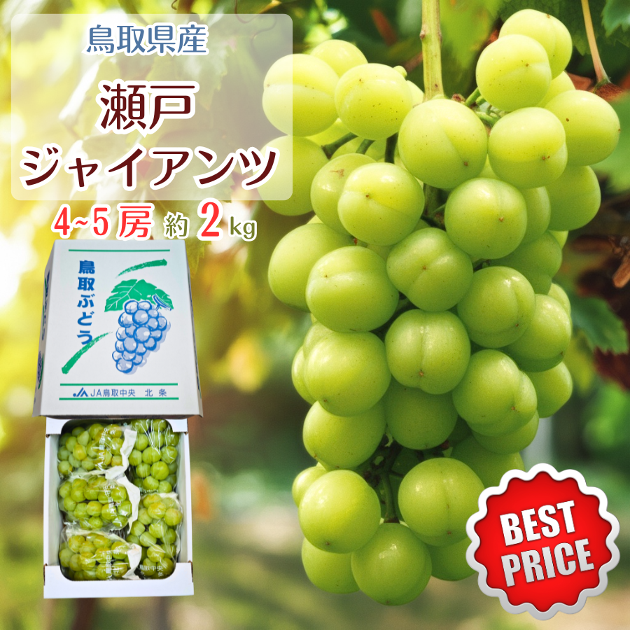 yʌ60z挧Y˃WCAc2kg Ȃ炲 YԂǂ 