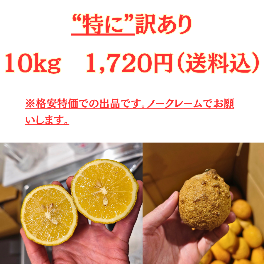 レモンとバナナ　訳あり　B品　10キロ 特に訳あり レモン 10kg +2kg 香川県産 国産 家庭用 加工用 果汁用