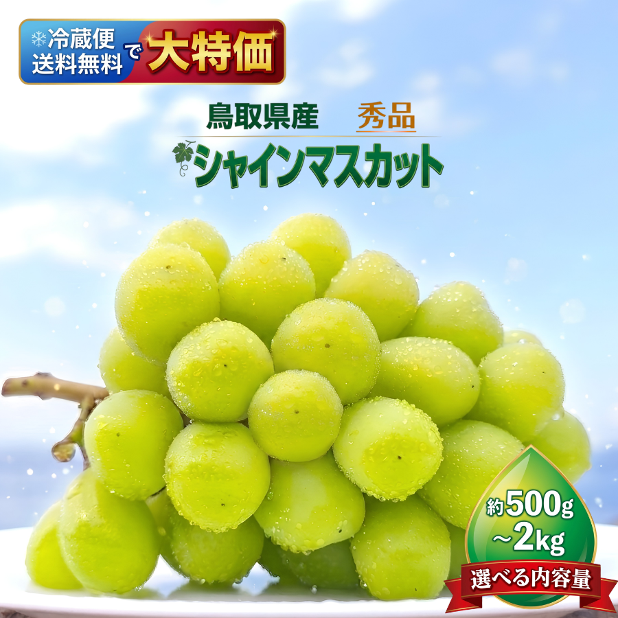 シャインマスカット ぶどう 鳥取県産 1.2kg 2房 秀品 種なし 皮ごと