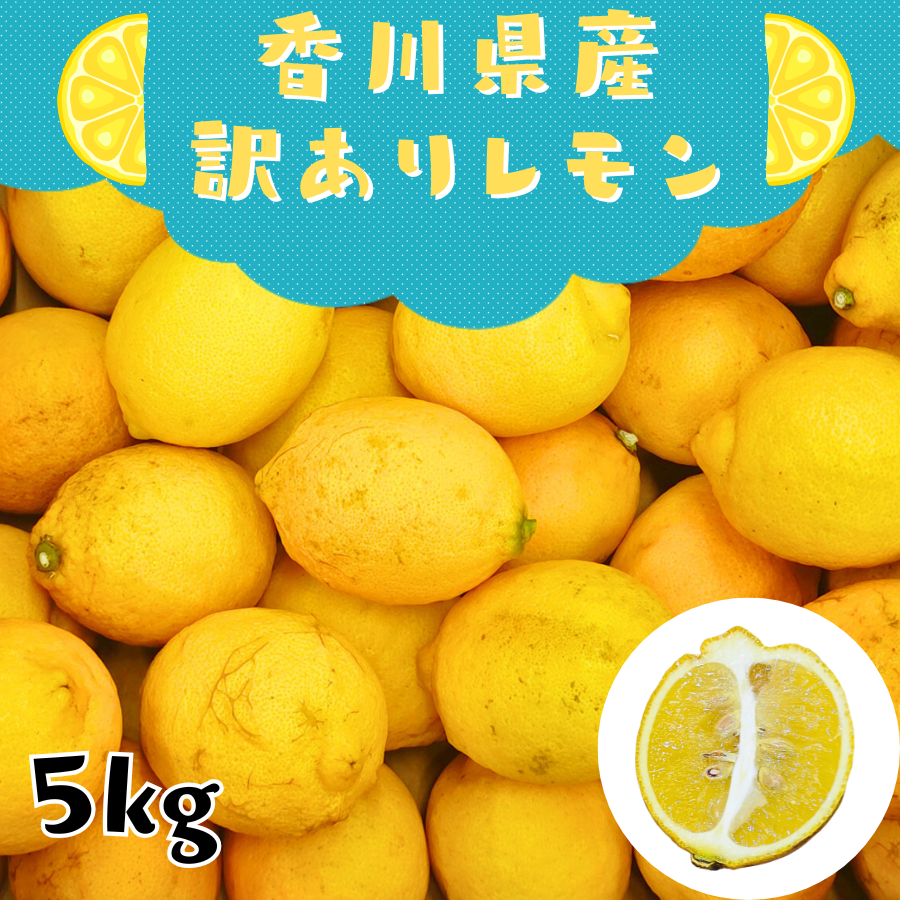レモン　訳あり　B品 10キロ 完熟国産レモン” 訳あり 約10kg 大きさおまかせ 産地厳選【予約 入荷