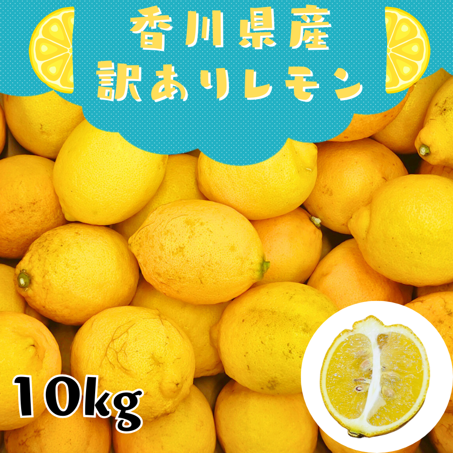 国産 レモン 訳あり 10kg」の人気商品一覧 | 安い商品を通販サイトから