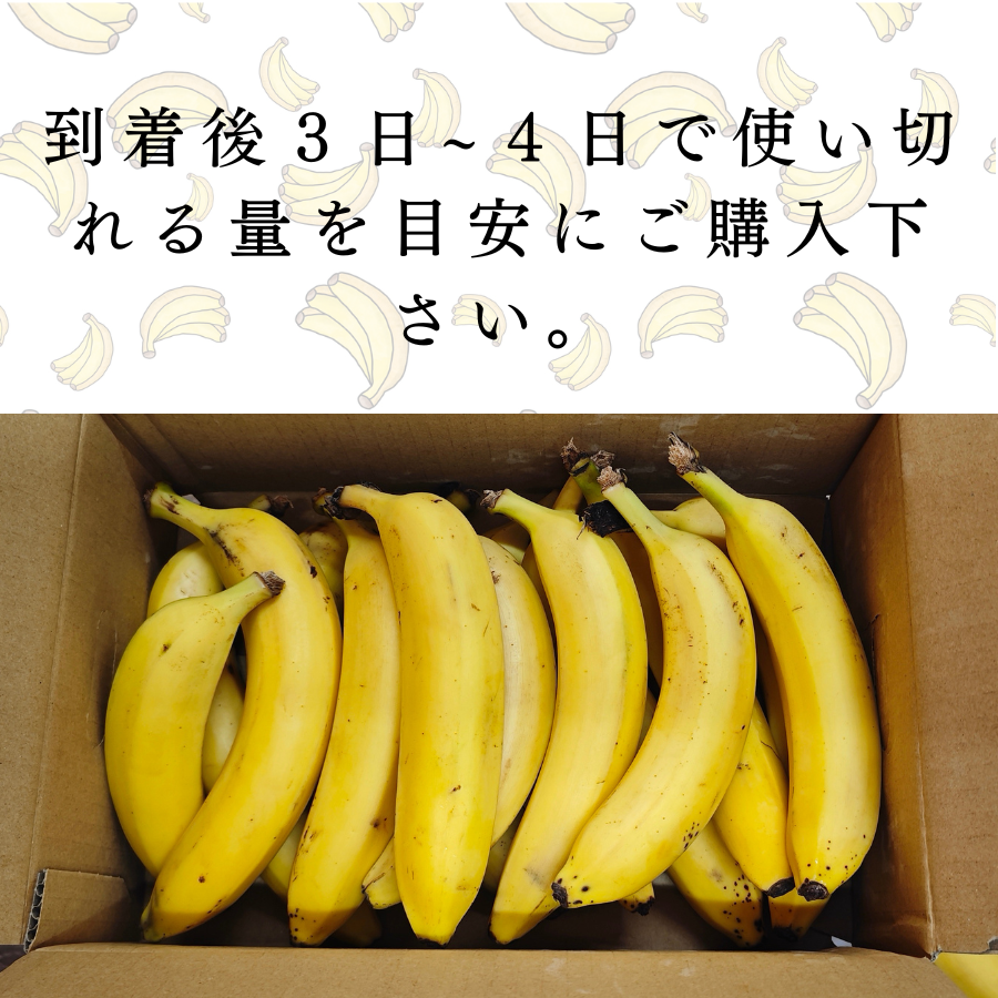 フルーツ バナナ｜フルーツ｜食品 通販 - Yahoo!ショッピング