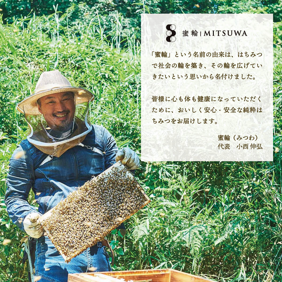 京都産生はちみつ2種(れんげ蜜・百花蜜)&はちみつ漬け 京都産生はちみつ2種(れんげ蜜・百花蜜)&はちみつ漬け