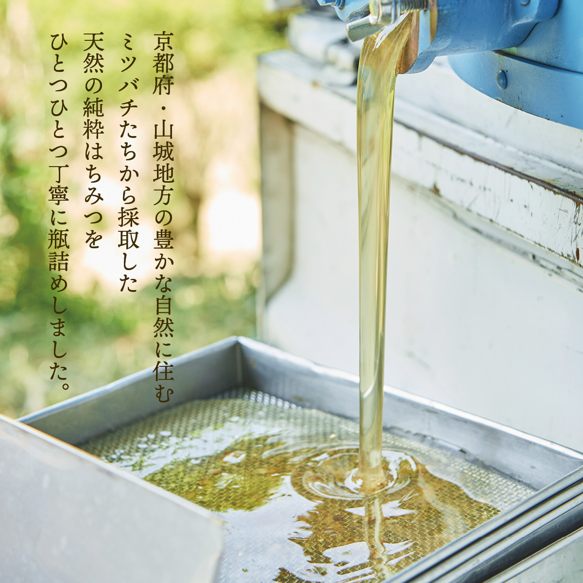 京都産生はちみつ れんげ蜜 120g 京田辺市の蜜輪から産地直送 国 日本