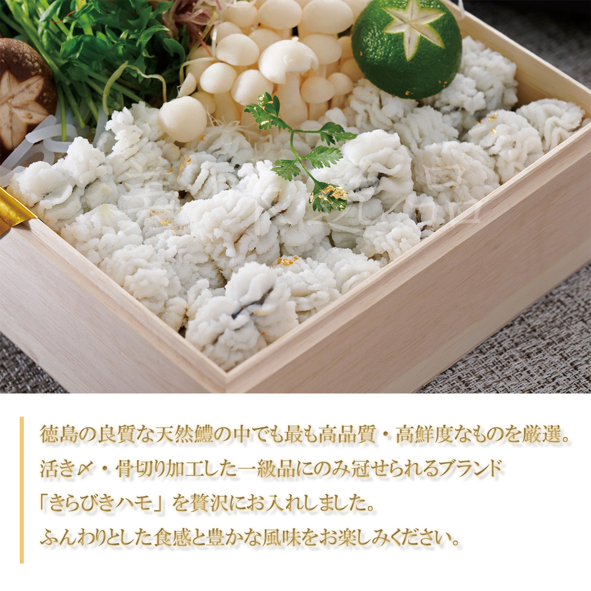 天然鱧の鱧（ハモ）鍋セット（3〜4人前） : 美味逸品 - 通販 - Yahoo