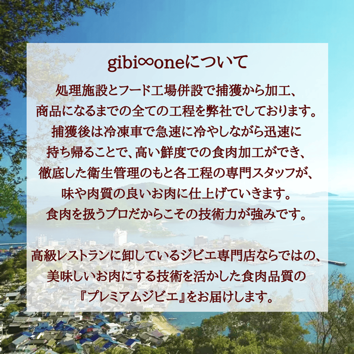 gibi∞oneについて