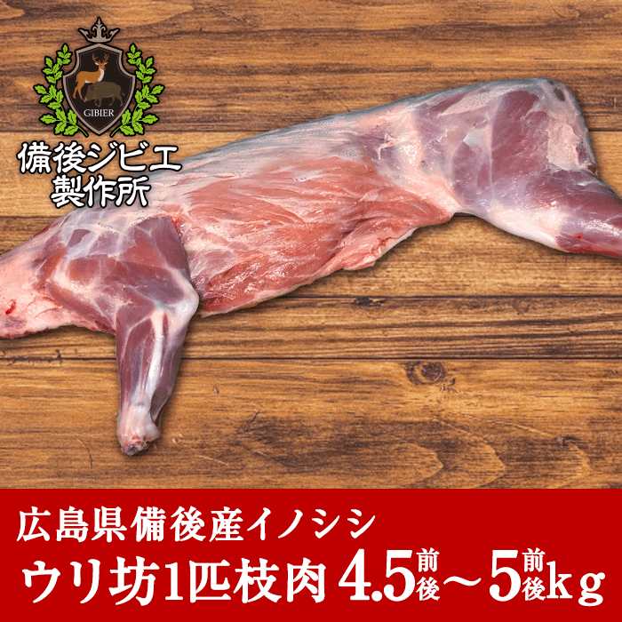 広島県備後産猪肉ウリ坊1匹枝肉