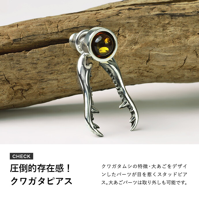 Ｎｏ．153 アメジスト（5角形カット）ムーンストーン、ジルコンのピアス Binich（ビニッチ） シルバー925 昆虫 クワガタ虫 ピアス メンズ