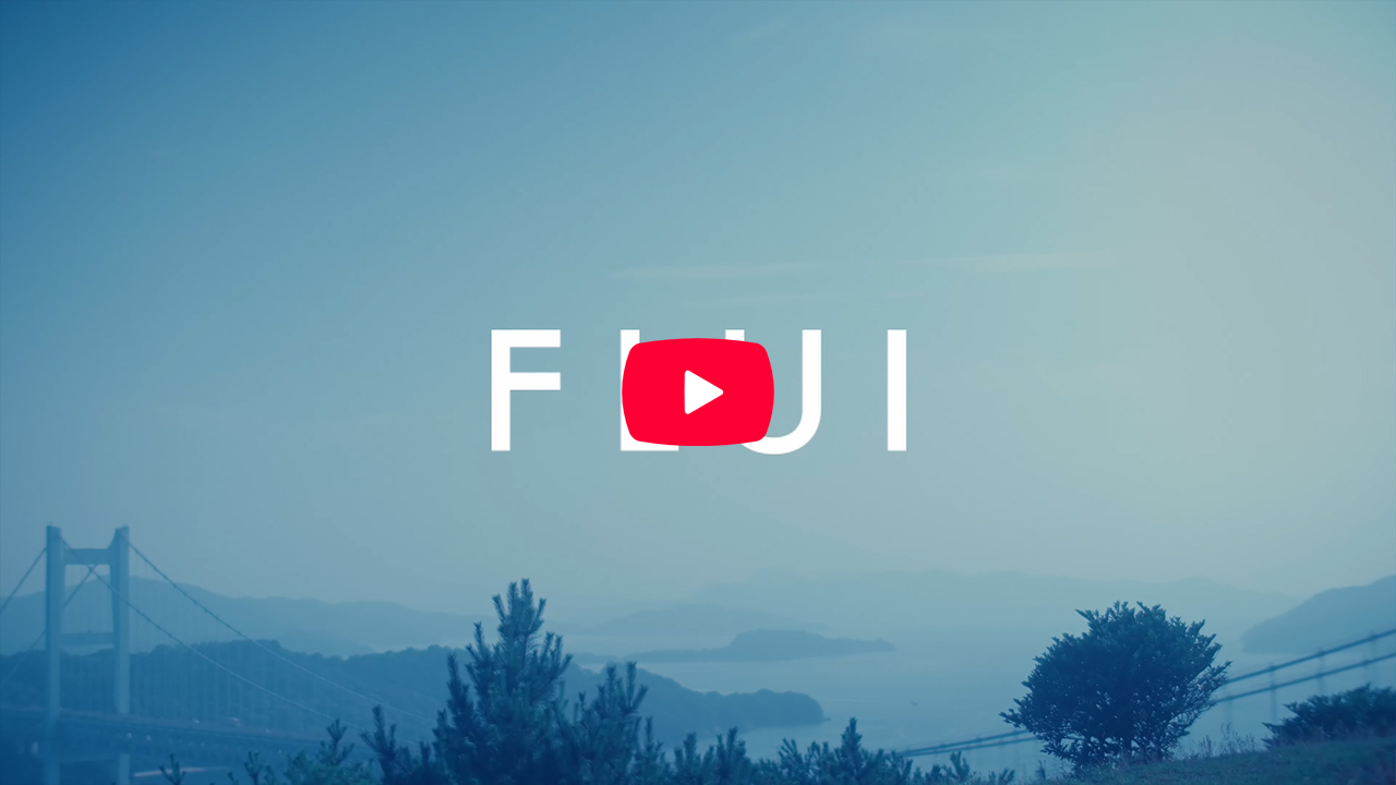 FLUI動画