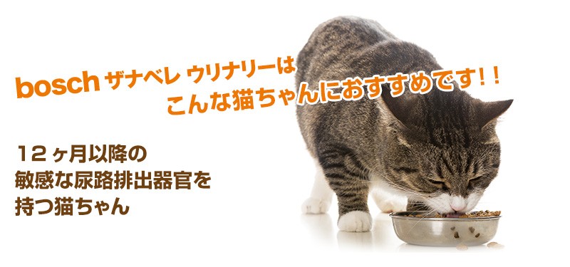 正規輸入品 猫用 ザナベレ ウリナリー 10kg ボッシュ グルテンフリー キャットフード 腎臓ケア 泌尿器系サポート 12ヶ月以降の猫用 準療法食 Www Legheleggere Com