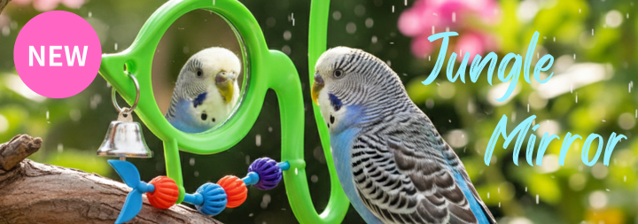 鳥グッズの店 Bird-style Yahoo!店 - Yahoo!ショッピング